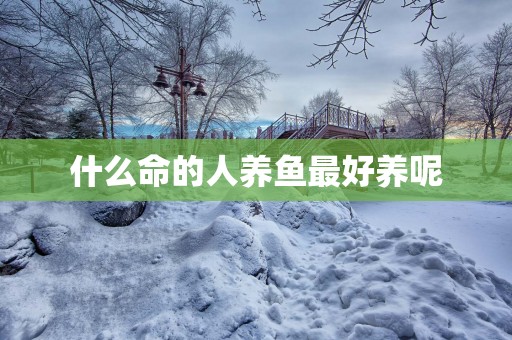 什么命的人养鱼最好养呢