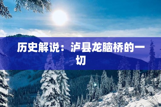 历史解说：泸县龙脑桥的一切