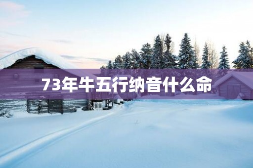 73年牛五行纳音什么命