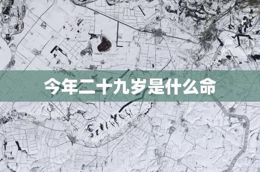 今年二十九岁是什么命