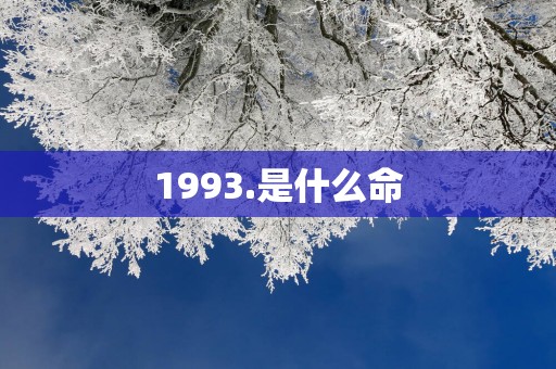 1993.是什么命