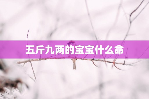 五斤九两的宝宝什么命
