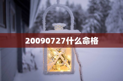 20090727什么命格