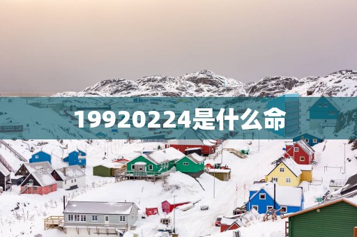 19920254是什么命
