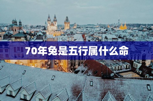 70年兔是五行属什么命