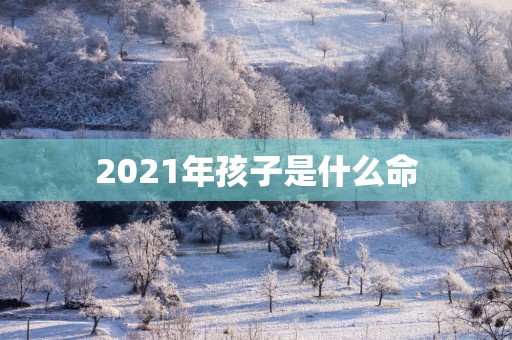 2025年孩子是什么命