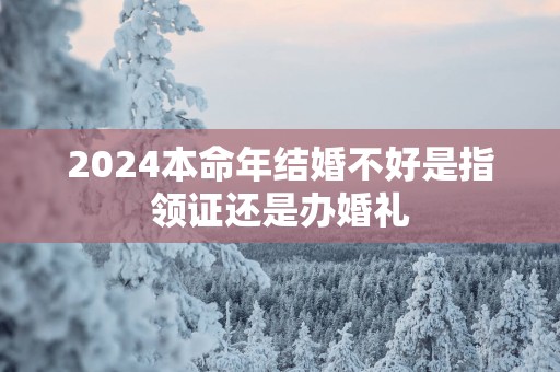 2025本命年结婚不好是指领证还是办婚礼