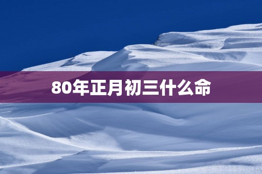 80年正月初三什么命