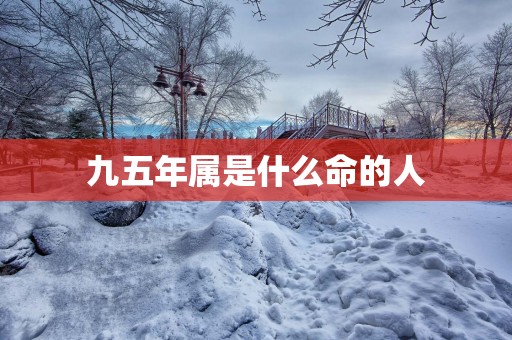 九五年属是什么命的人