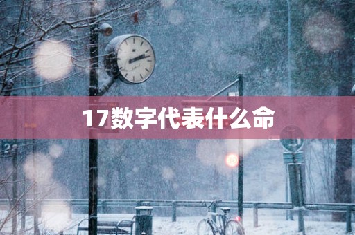 17数字代表什么命