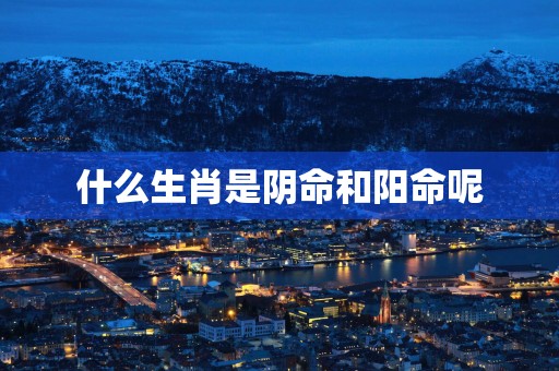 什么生肖是阴命和阳命呢