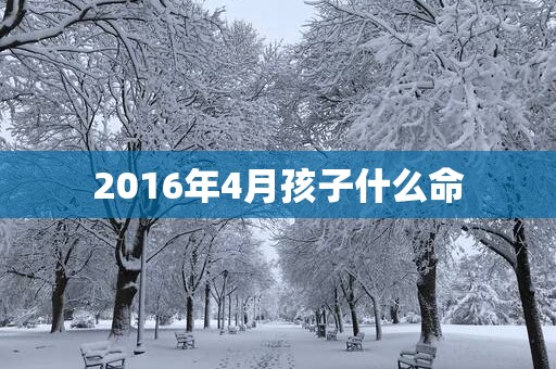 2016年4月孩子什么命