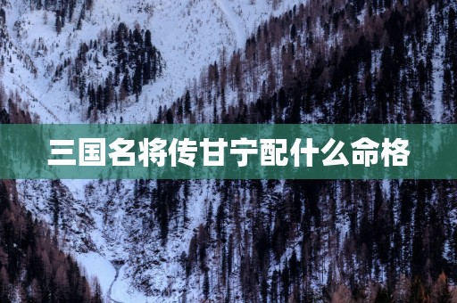 三国名将传甘宁配什么命格