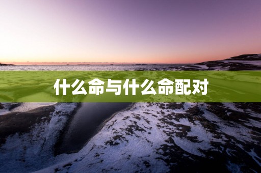 什么命与什么命配对