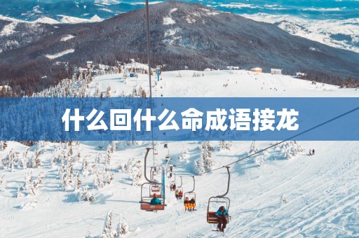 什么回什么命成语接龙