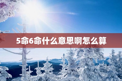5命6命什么意思啊怎么算
