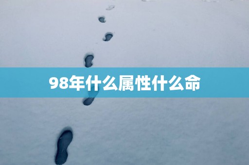 98年什么属性什么命