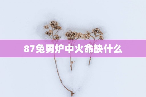 87兔男炉中火命缺什么