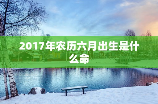 2017年农历六月出生是什么命