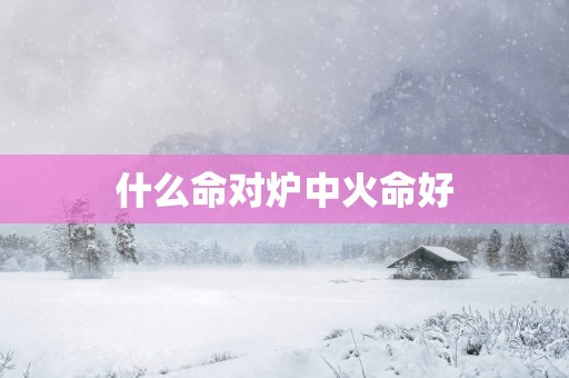 什么命对炉中火命好