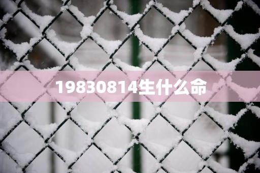 19830814生什么命