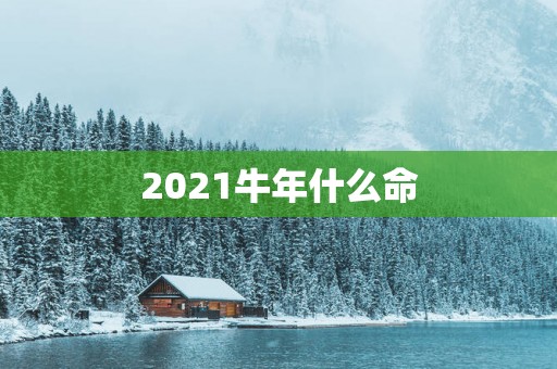 2025蛇年什么命
