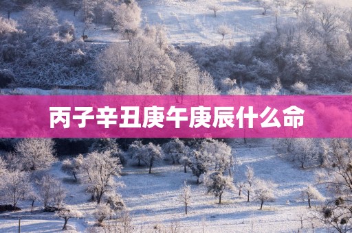 丙子辛丑庚午庚辰什么命