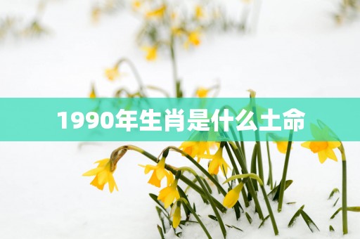 1990年生肖是什么土命