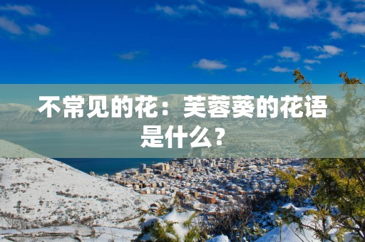 不常见的花：芙蓉葵的花语是什么？