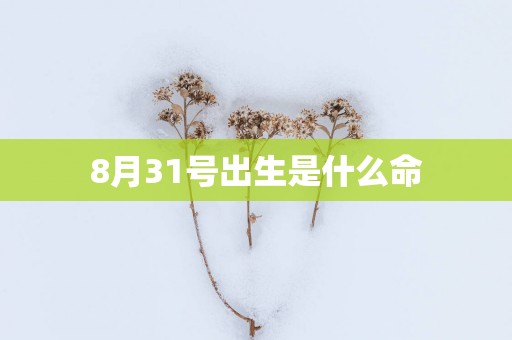 8月31号出生是什么命