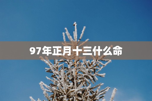 97年正月十三什么命