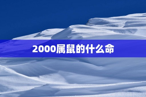 2000属鼠的什么命