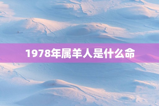 1978年属羊人是什么命 1978年属羊人是什么命