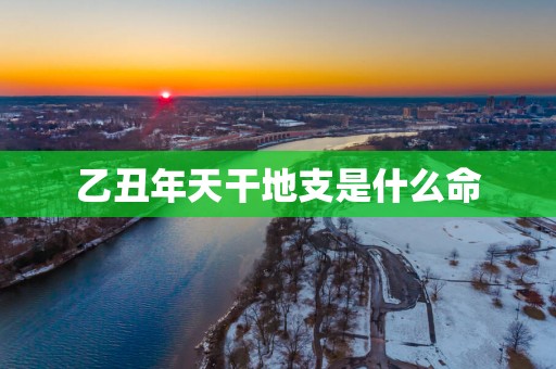 乙丑年天干地支是什么命