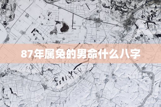 87年属兔的男命什么八字