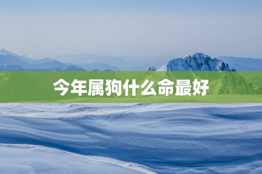 今年属狗什么命最好