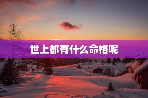 世上都有什么命格呢
