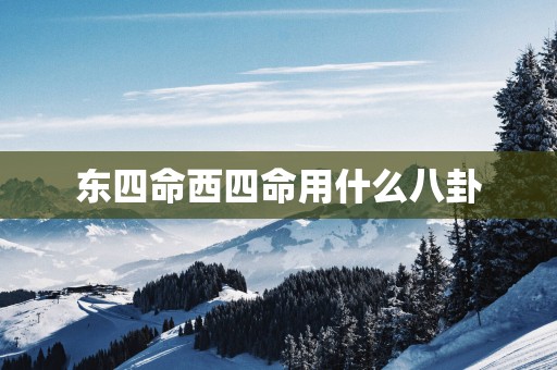 东四命西四命用什么八卦