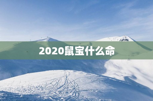 2025鼠宝什么命
