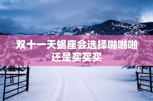双十一天蝎座会选择啪啪啪还是买买买