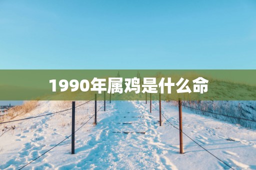 1990年属鸡是什么命