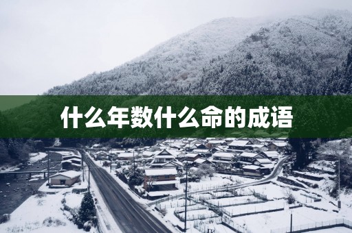 什么年数什么命的成语