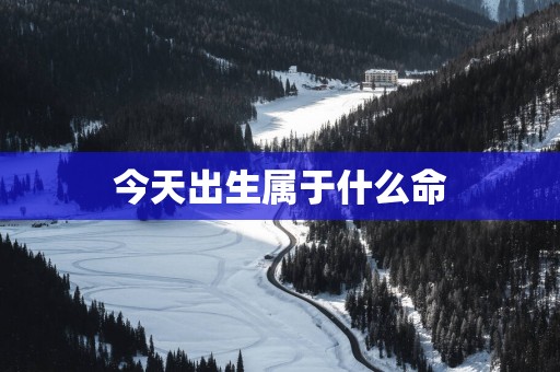 今天出生属于什么命