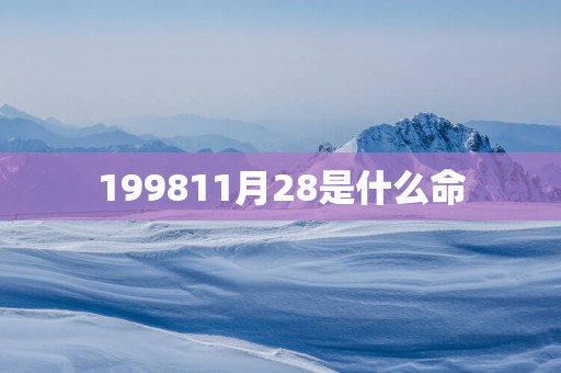 199811月28是什么命