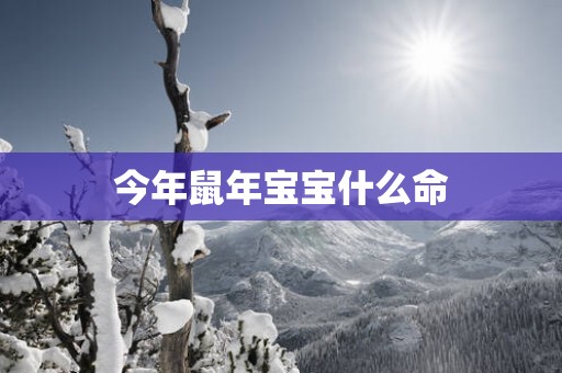今年蛇年宝宝什么命