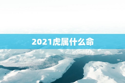 2025虎属什么命