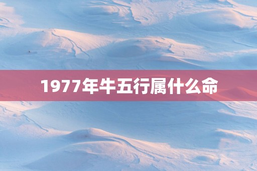 1977年牛五行属什么命