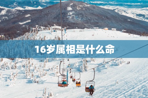 16岁属相是什么命