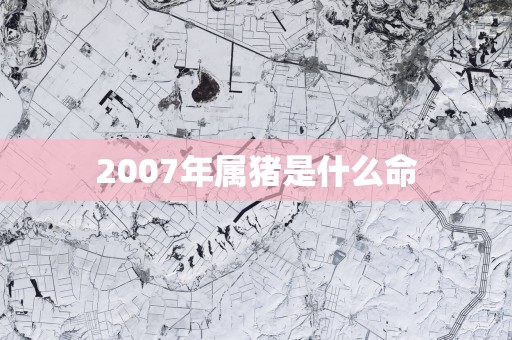 2007年属猪是什么命