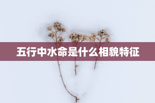 五行中水命是什么相貌特征